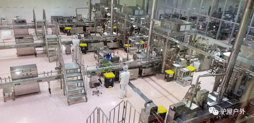 养乐多工厂探游 100亿活性菌的健康秘密与科技守护